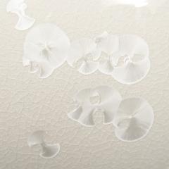 Hideaki Miyamura White Crystaline Vase Grouping by Hideaki Miyamura - 4316112