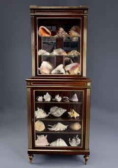 Highly decorative French Directoire style mahogany vitrine or display cabinet - 4756979