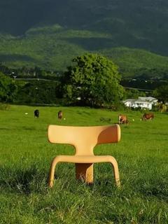 Hlynur Atlason Limbo Chair - 4731280