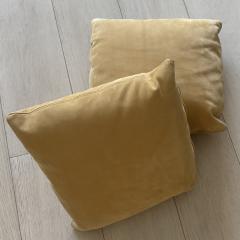 Holly Hunt 2 pillows - 3851219