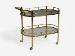 Hollywood Regency Style Brass Glass Bar Cart France 1970s - 4203305