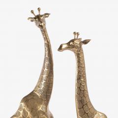 Hollywood Regency Style Polished Brass Giraffe Sculptures Pair - 4220132
