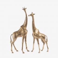 Hollywood Regency Style Polished Brass Giraffe Sculptures Pair - 4220134
