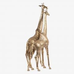 Hollywood Regency Style Polished Brass Giraffe Sculptures Pair - 4220140