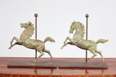 Horseplay - 3913332