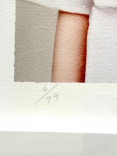 Huang Yan Framed Editioned Contemporary Photograph by Huang Yan - 4228153