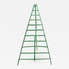 Huge Fruit Picking Ladder - 266458