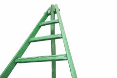 Huge Fruit Picking Ladder - 266464