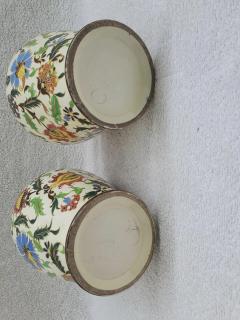 Hugo Lonitz Majolica palissy pair of jars Hugo lonitz  - 4548973