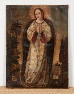 Iberian Colonial Lady of the Mountain - 4600646