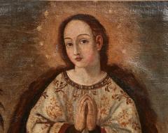 Iberian Colonial Lady of the Mountain - 4600647