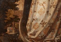 Iberian Colonial Lady of the Mountain - 4600650
