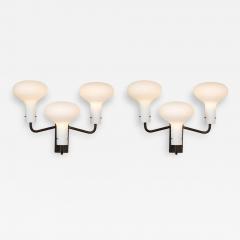 Ignazio Gardella Pair of Wall Lights Model LP12 by Ignazio Gardella - 3217103
