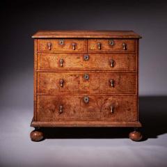 Important 17th Century William and Mary Bur Pollard Oak Chest of drawers - 4038434