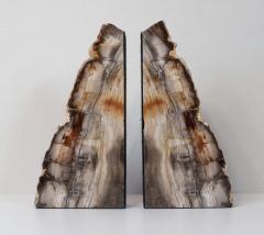 Impressive Pair of Tall Petrified Wood Bookends - 4059613