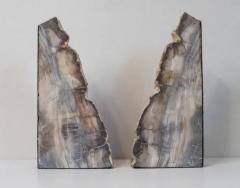 Impressive Pair of Tall Petrified Wood Bookends - 4059658