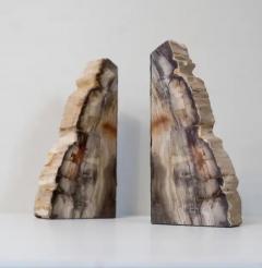 Impressive Pair of Tall Petrified Wood Bookends - 4059660