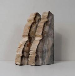 Impressive Pair of Tall Petrified Wood Bookends - 4059661