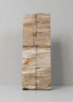 Impressive Pair of Tall Petrified Wood Bookends - 4059662