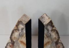 Impressive Pair of Tall Petrified Wood Bookends - 4059668