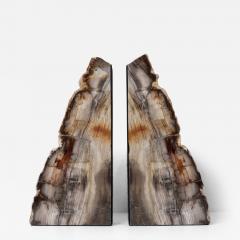 Impressive Pair of Tall Petrified Wood Bookends - 4061825