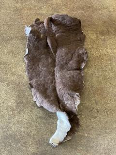 In s Schertel Giant Leaf Naturally Dyed Felted Wool Sculpture by In s Schertel Brazil - 2346172