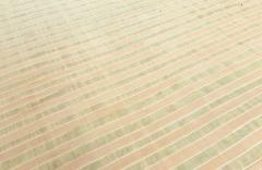 Indian Dhurrie Rug - 3585635