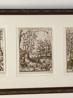 Industries and Culture of the West Indies Dutch circa 1660 - 2685323