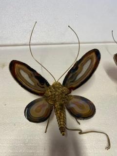 Isabelle Faure 1970 Pair Of Butterfly Sconces In Bronze Or Brass Duval Brasseur Or I Faure - 3427567