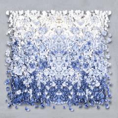 Isabelle van Zeijl Blue Sky 6 2 APs  - 4129248