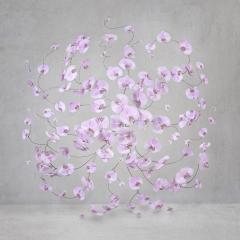 Isabelle van Zeijl Infinite Pink 12  - 4132607