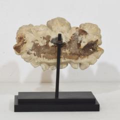 Italian 17th 18th Century Carved White Marble Winged Angel Heads Ornament - 4518462