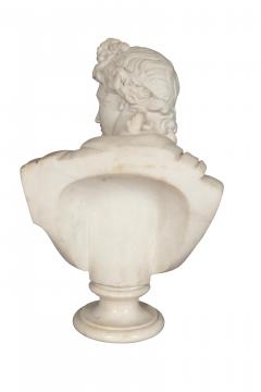 Italian Carrara Marble Bust Of The Apollo Belvedere - 4187404