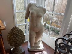 Italian Classical Roman Style Plaster Torso Sculpture - 4436717