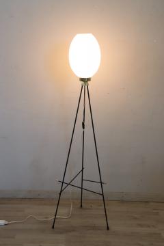 Italian Design Opaline Glass and Brass Stilnovo Style Floor Lamp 1950s - 3282725