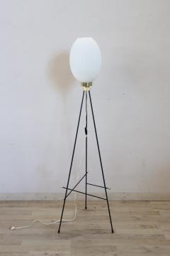 Italian Design Opaline Glass and Brass Stilnovo Style Floor Lamp 1950s - 3282726