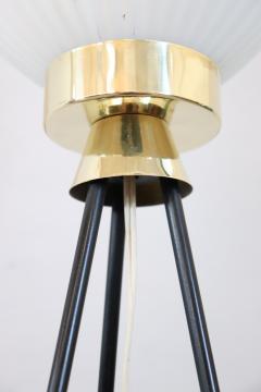 Italian Design Opaline Glass and Brass Stilnovo Style Floor Lamp 1950s - 3282733