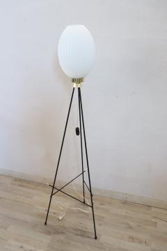 Italian Design Opaline Glass and Brass Stilnovo Style Floor Lamp 1950s - 3282734