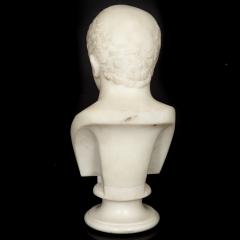 Italian Grand Tour Antique Marble Bust of Marcus Cicero 19th Century - 4618541