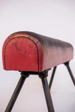 Italian Gymnastic Horse in Red Leather and Iron - 3628721