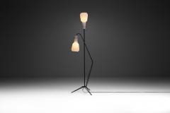 Italian Mid Century Modern Floor Lamp in the Style of Stilnovo Italy 1950s - 2805052