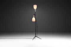 Italian Mid Century Modern Floor Lamp in the Style of Stilnovo Italy 1950s - 2805169