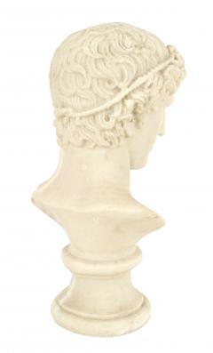 Italian Neo classic Resin Man Bust - 4660710