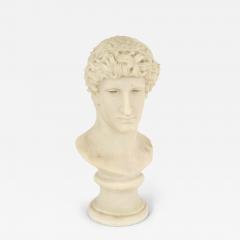 Italian Neo classic Resin Man Bust - 4690128