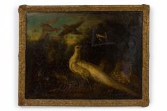 Italian Oil Painting of a White Peacock and Other Birds in a Giltwood Frame - 4516443