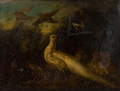 Italian Oil Painting of a White Peacock and Other Birds in a Giltwood Frame - 4539070