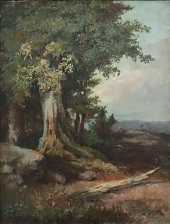 Italian Oil Painting on Canvas Forest Landscape Late 19th Century - 4019441