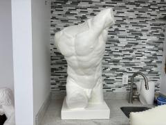 Italian Plaster Male Torso Sculpture Of A Classical Athlete - 4436725