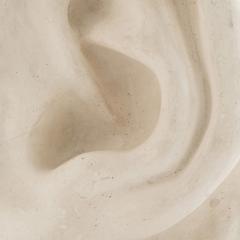 Italian Renaissance Michelangelos David Plaster Ear Detail - 4675235