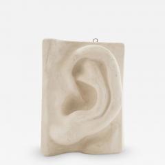 Italian Renaissance Michelangelos David Plaster Ear Detail - 4733540